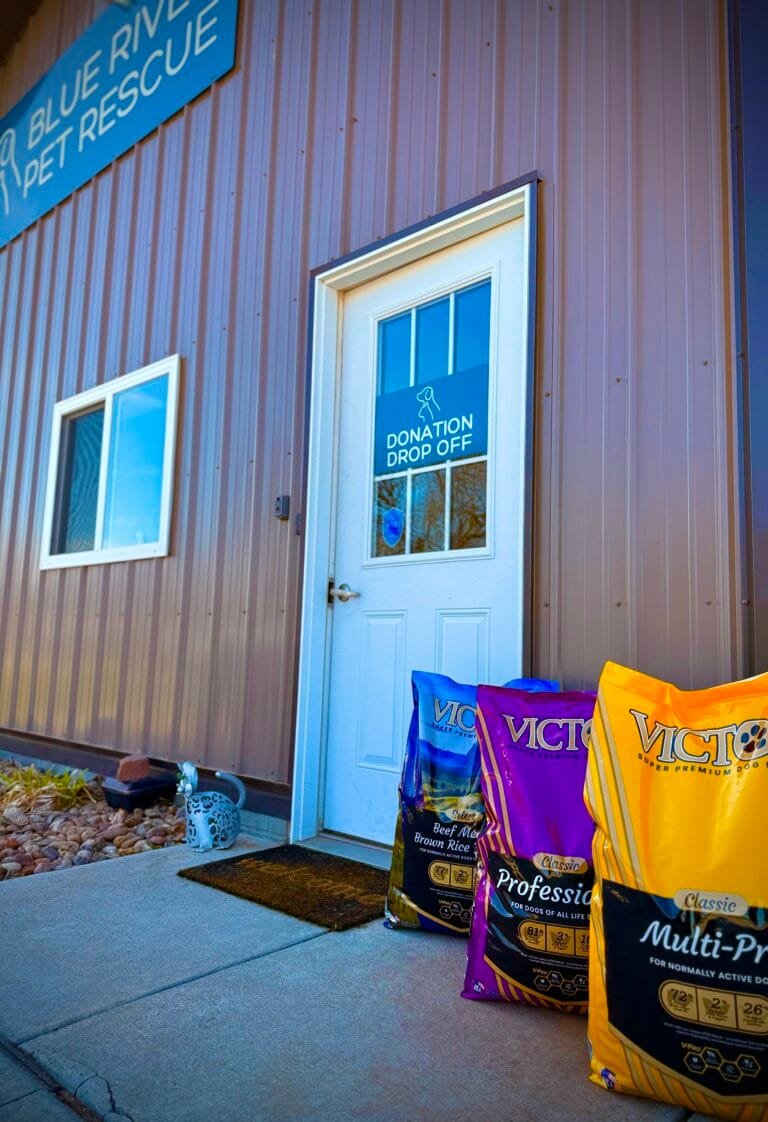 How You Can Make a Difference for Rescue Pets Blue River Pet Rescue