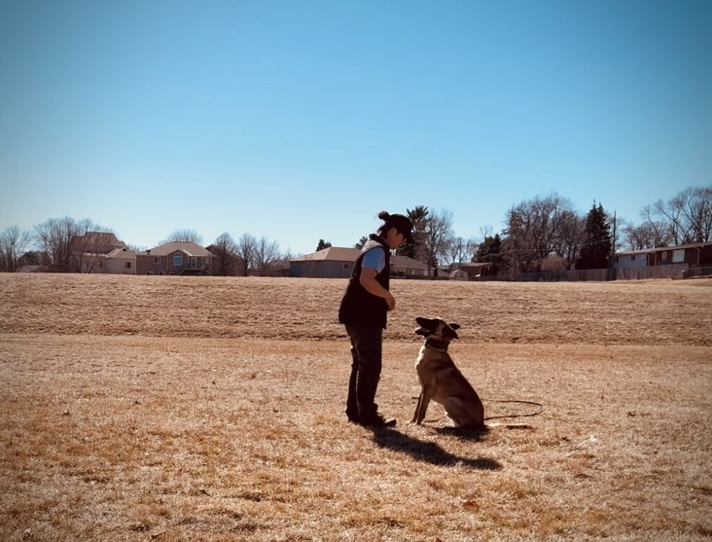 Private In-Home Dog Training Lincoln Nebraska