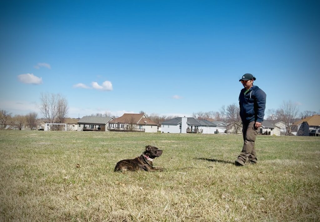 Drop and Train Program Lincoln Nebraska