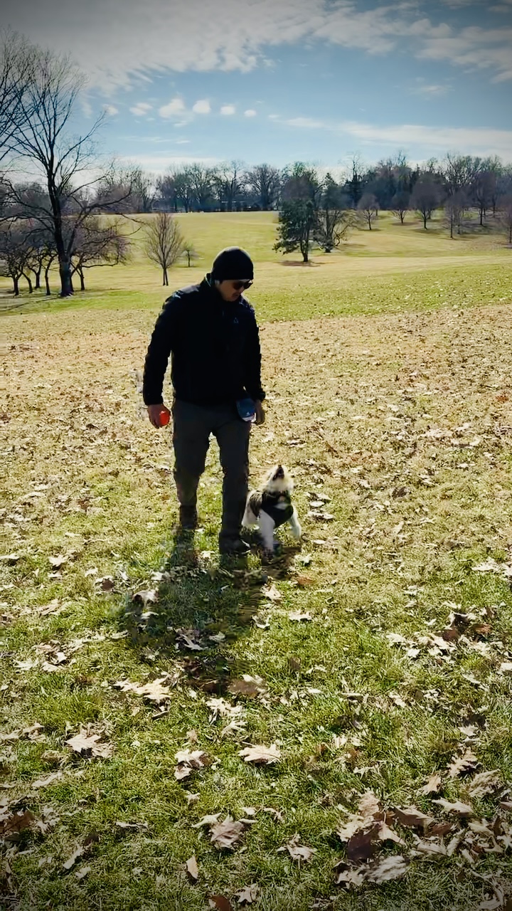 Derek Chiu professional dog trainer training dog in Lincoln Nebraska park